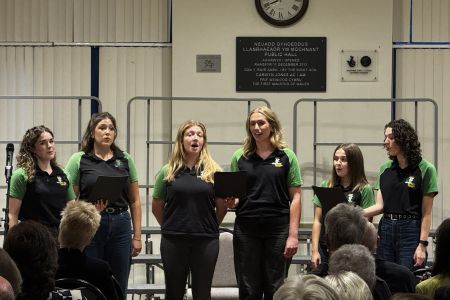 Dyffryn Tanat YFC Ladies.JPG